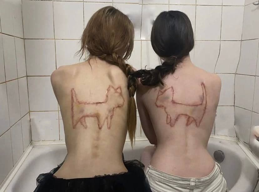 Обложка выпуска. Цветная фотография. Две девушки с длинными волосами сидят в ванне. Их косы переплетены, спины обнажены. У каждой на спине высечена красная фигура в форме кошки.