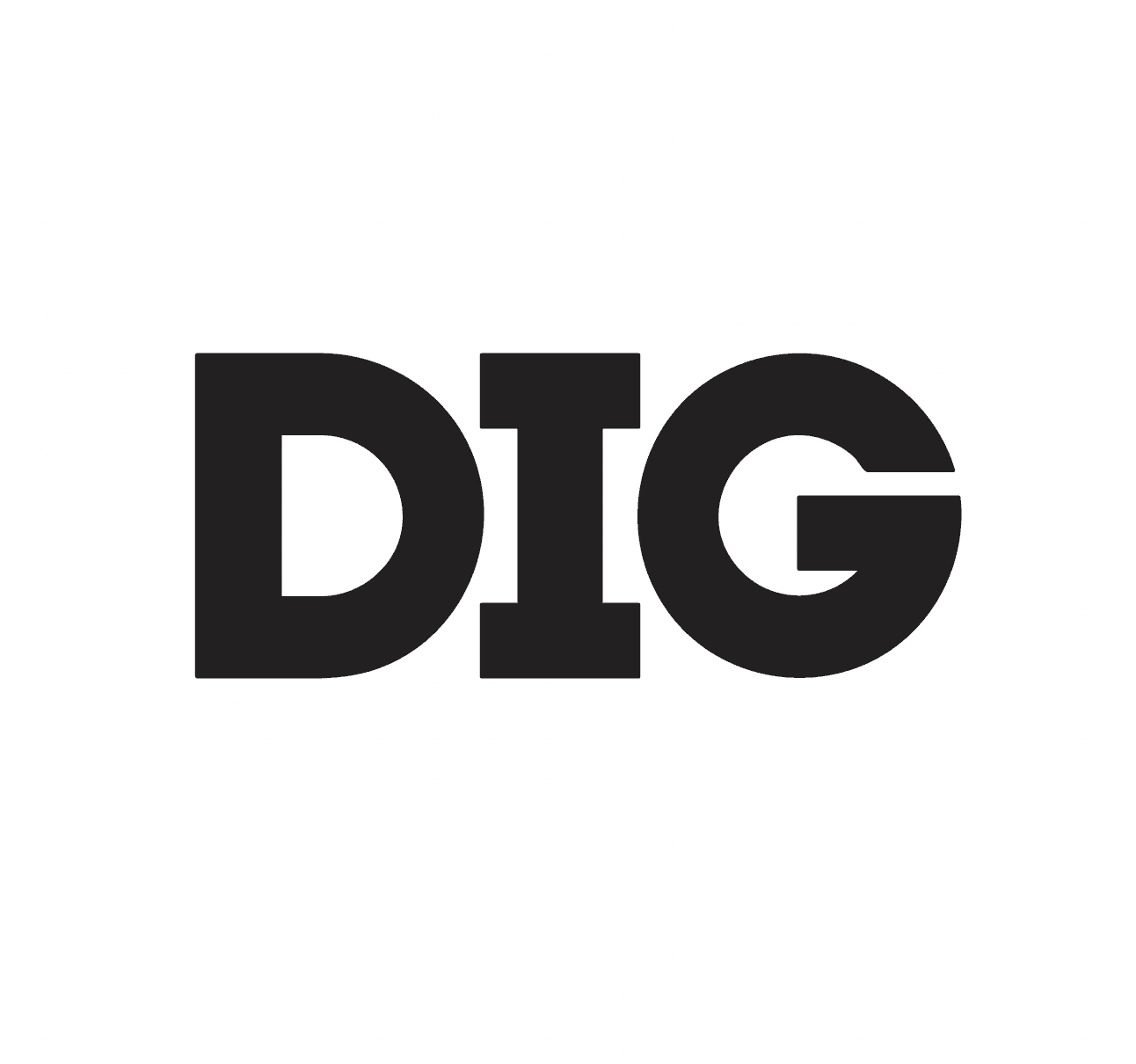 Логотип DIG STORE